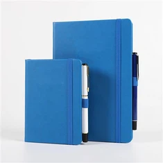 Notebooks azuis
